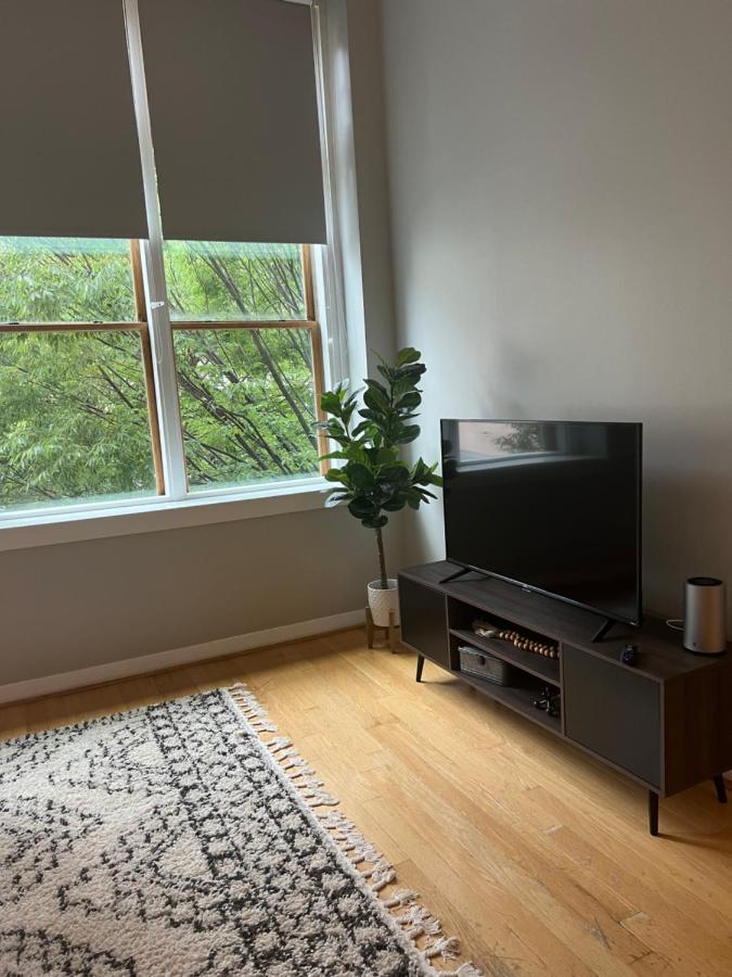 Downtown Norfolk Loft Leilighet Eksteriør bilde