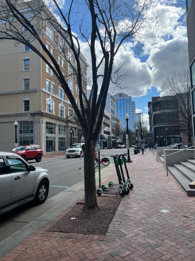 Downtown Norfolk Loft Leilighet Eksteriør bilde